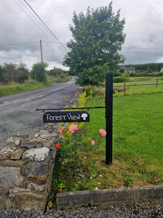 Bed and Breakfast Forest View Dunmore Galway H54P897 Exterior foto