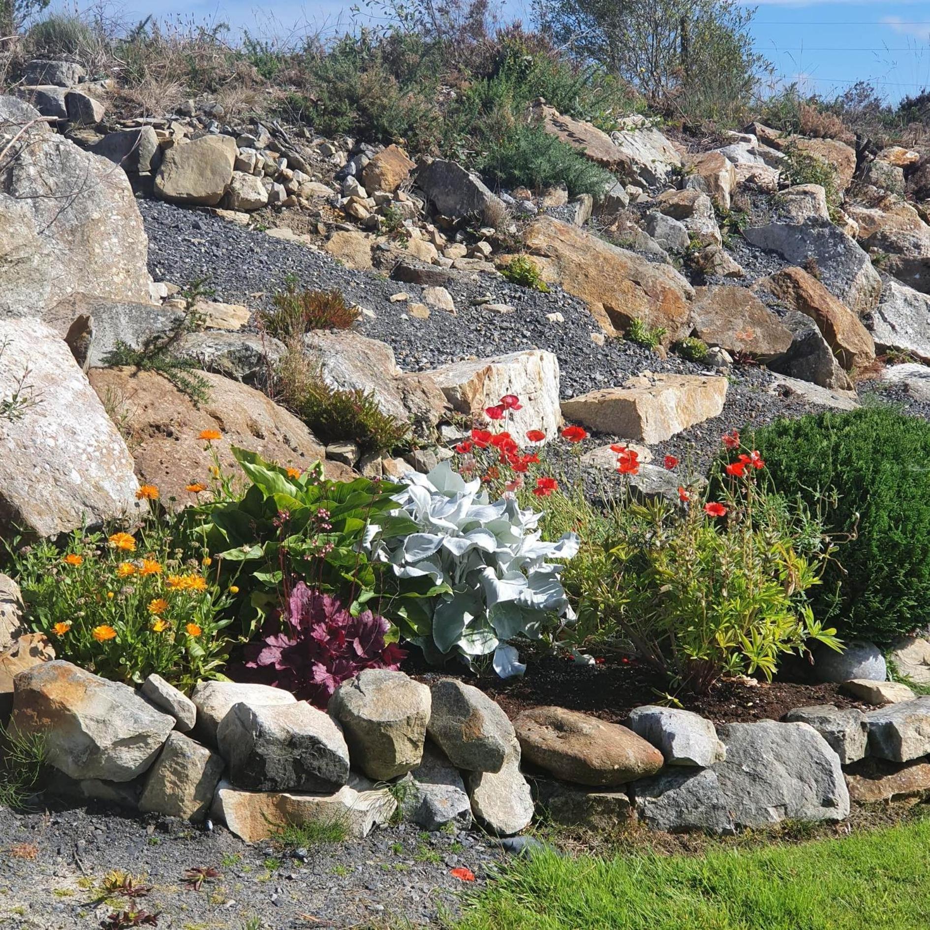Bed and Breakfast Forest View Dunmore Galway H54P897 Exterior foto