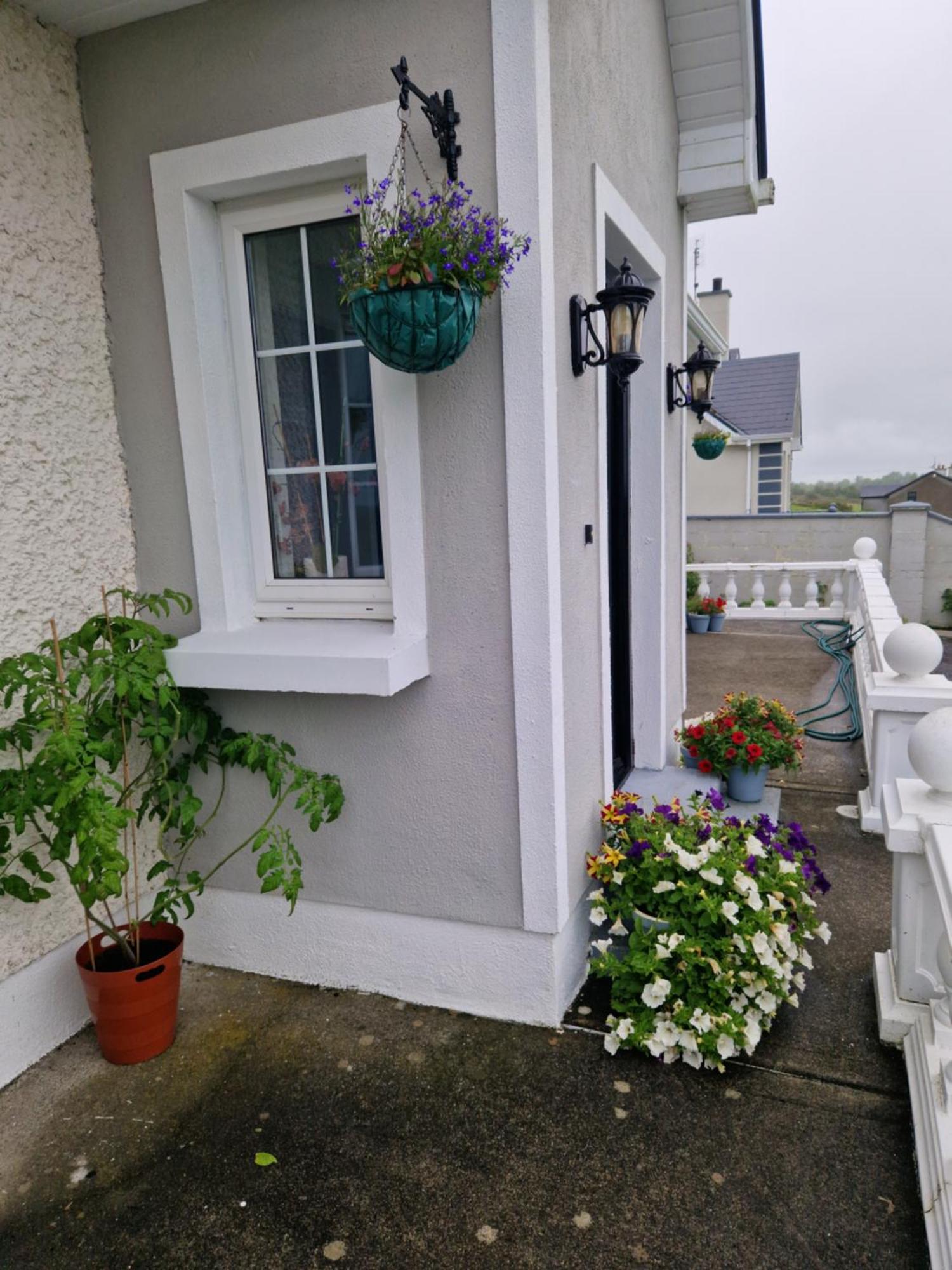 Bed and Breakfast Forest View Dunmore Galway H54P897 Exterior foto